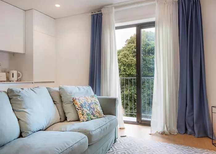 Living | 1br Flat With Ac Oporto